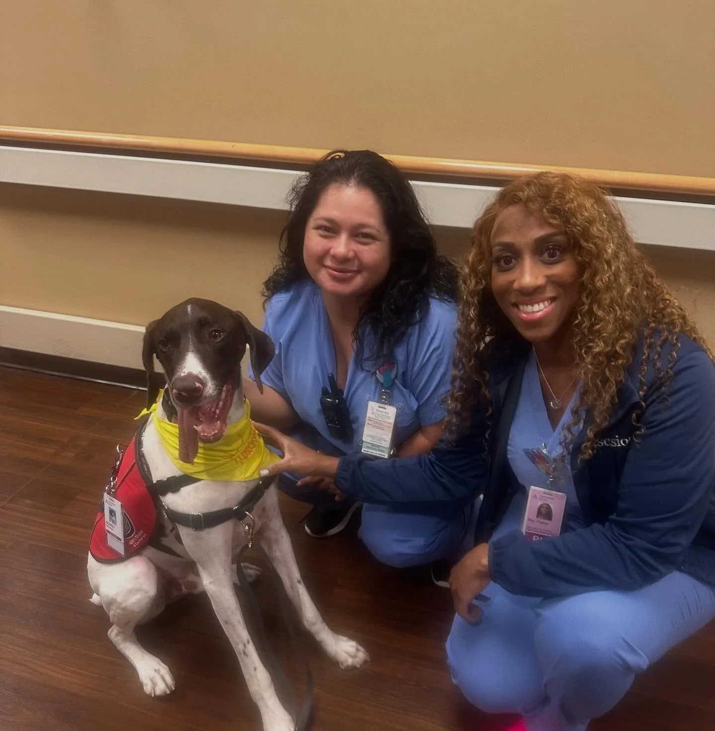 Rowdy wearing his therapy dog vest beside two smiling hospital staff members