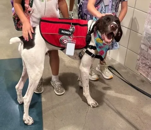 Two children gently pet Rowdy during a school visit